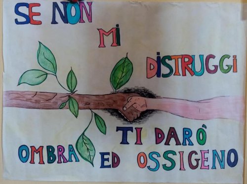 cartellone-sensibilizzazione-alberi-itesolivettilecce