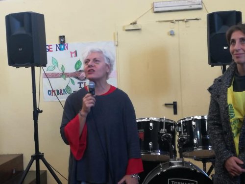 deforestazione-alberi-itesolivettilecce