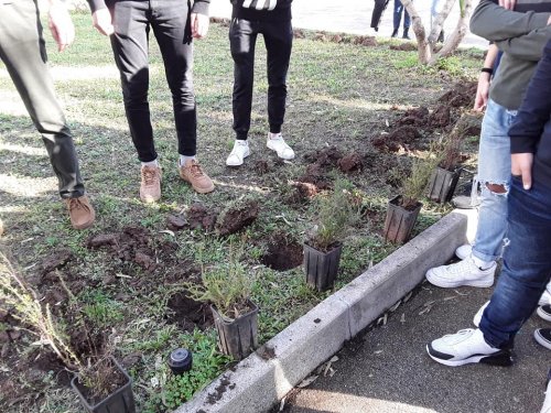 deforestazione-riscaldamento-riflessione-itesolivettilecce