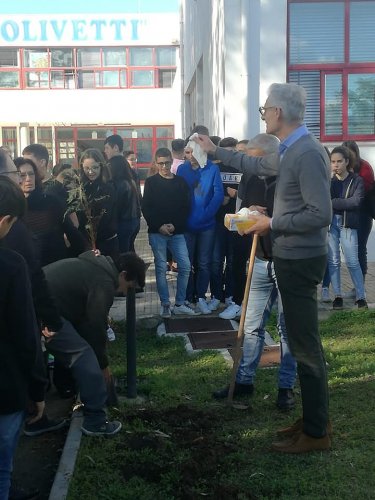 legambiente-alberi-itesolivettilecce